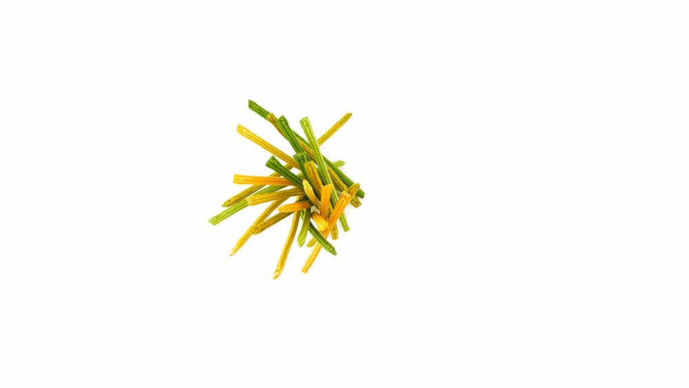 GIALLO-_1000