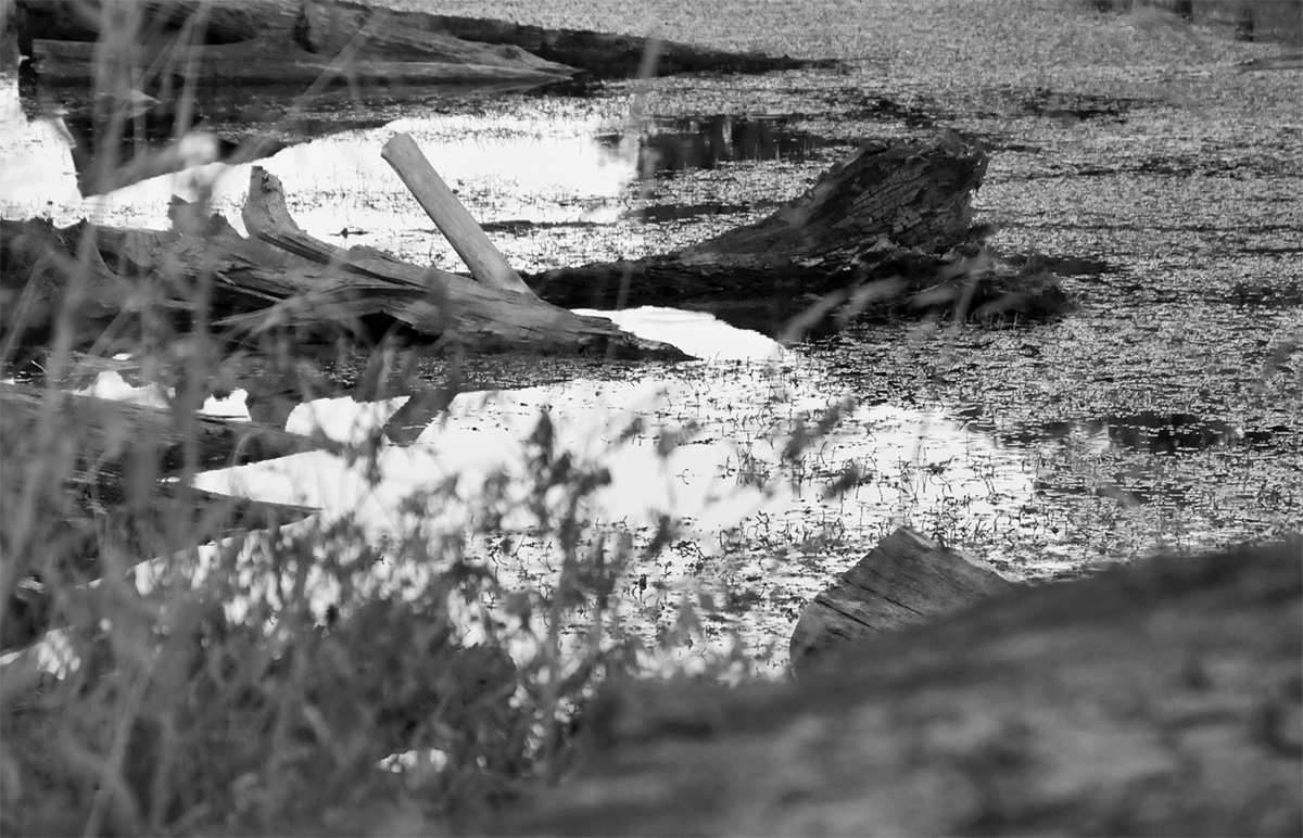 Livello-5-1-1