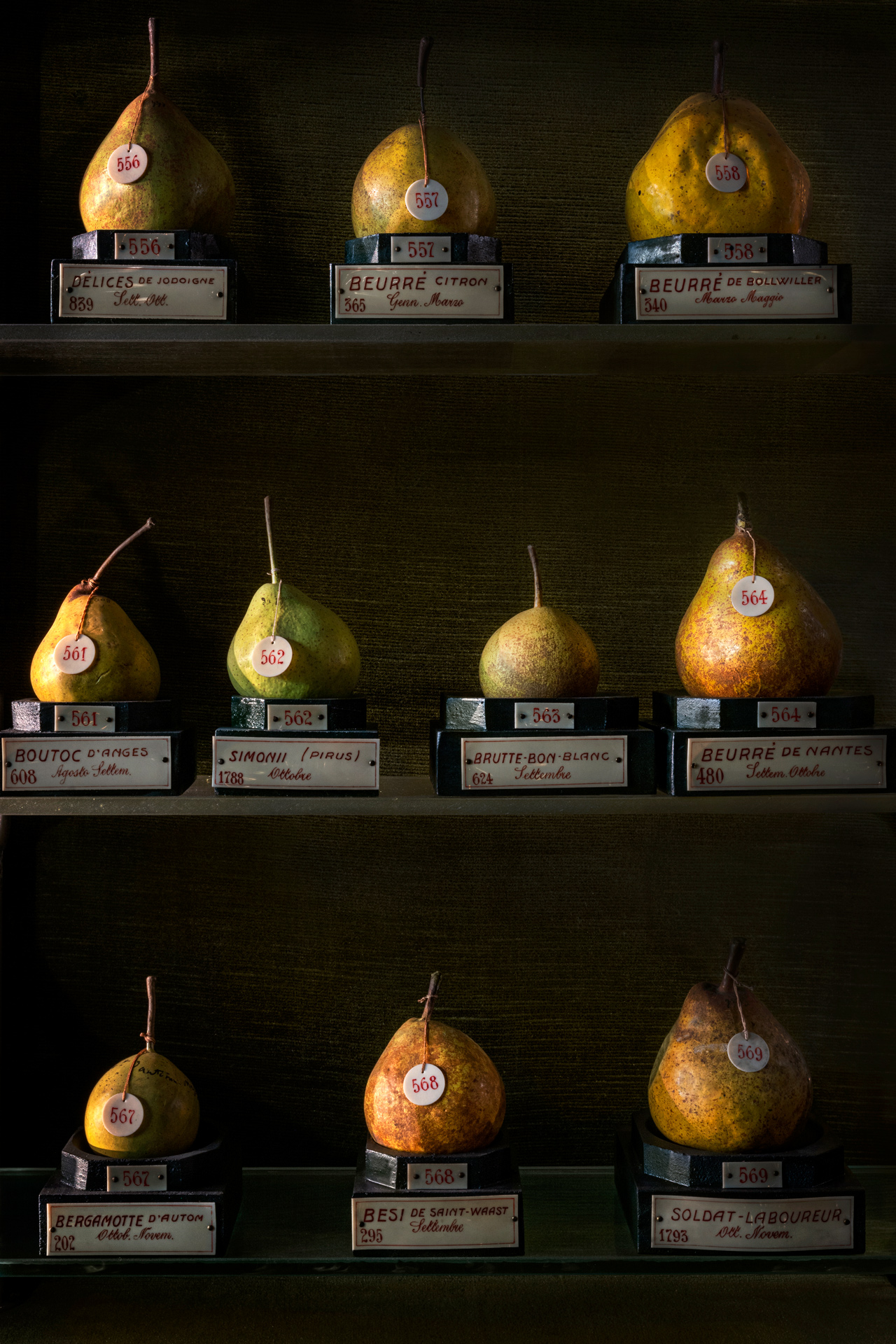 pere
