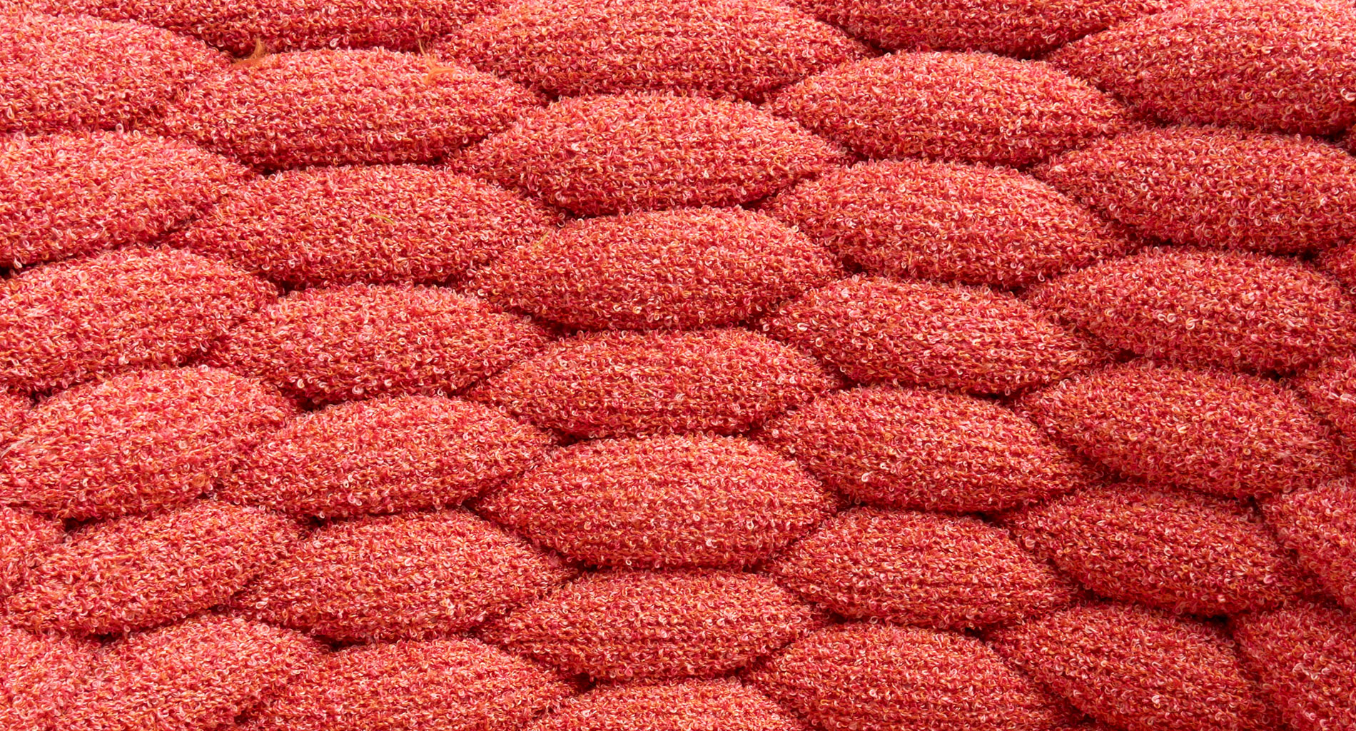 Chain Moss